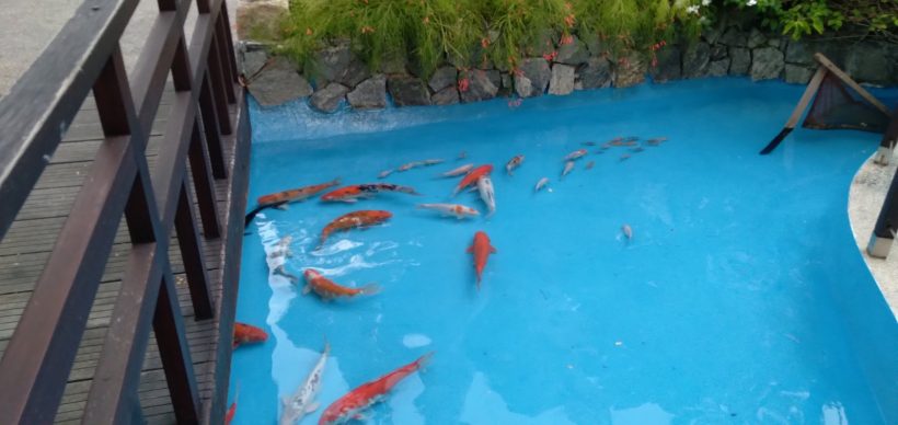 viber_image_2021-07-022_06-36-11