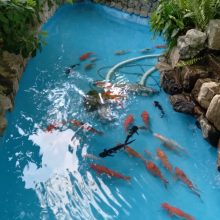 viber_image_2021-07-222203_06-36-12